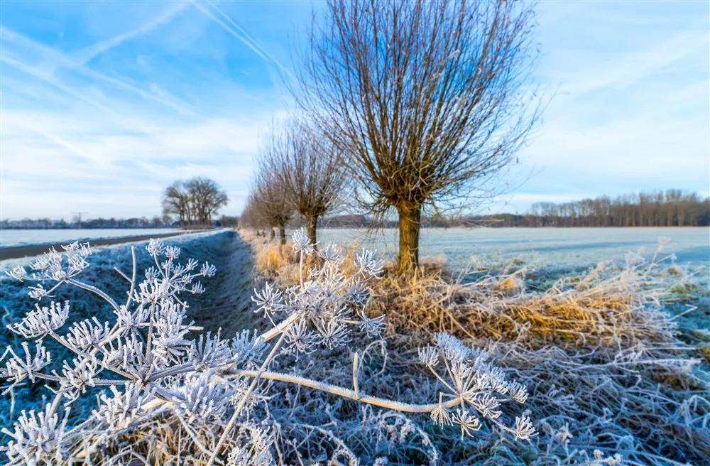 download scaled 1000x1000 69814