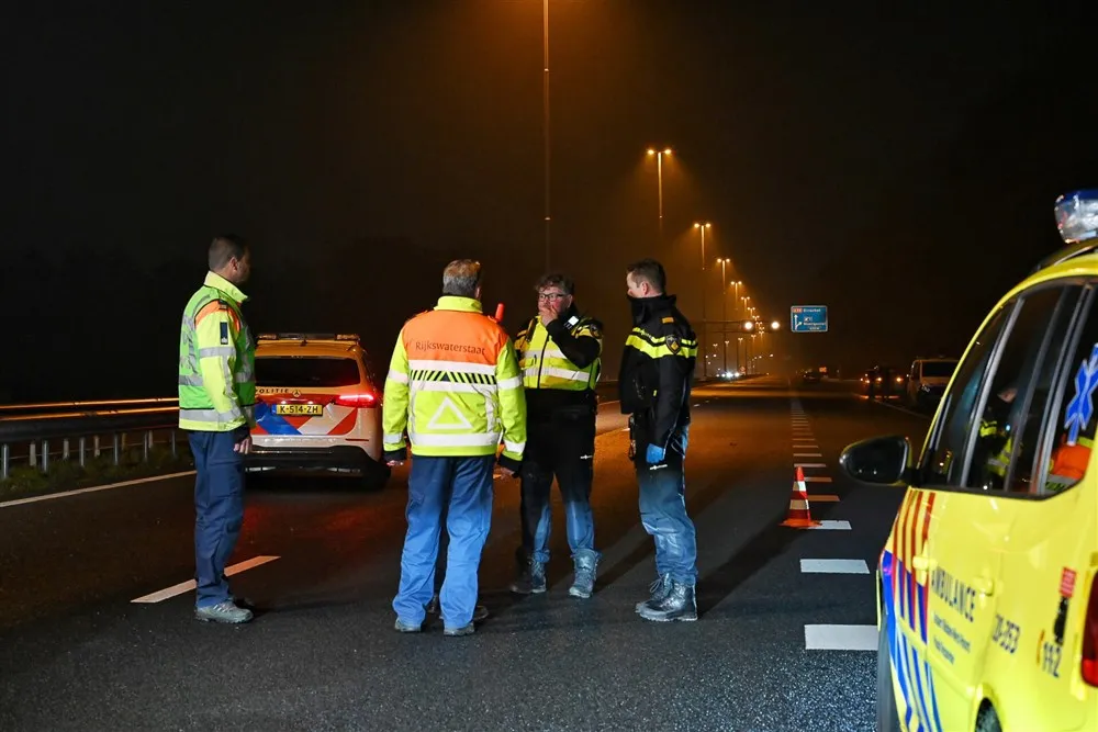 download scaled 1000x1000 70049