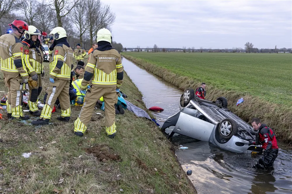 download scaled 1000x1000 70202