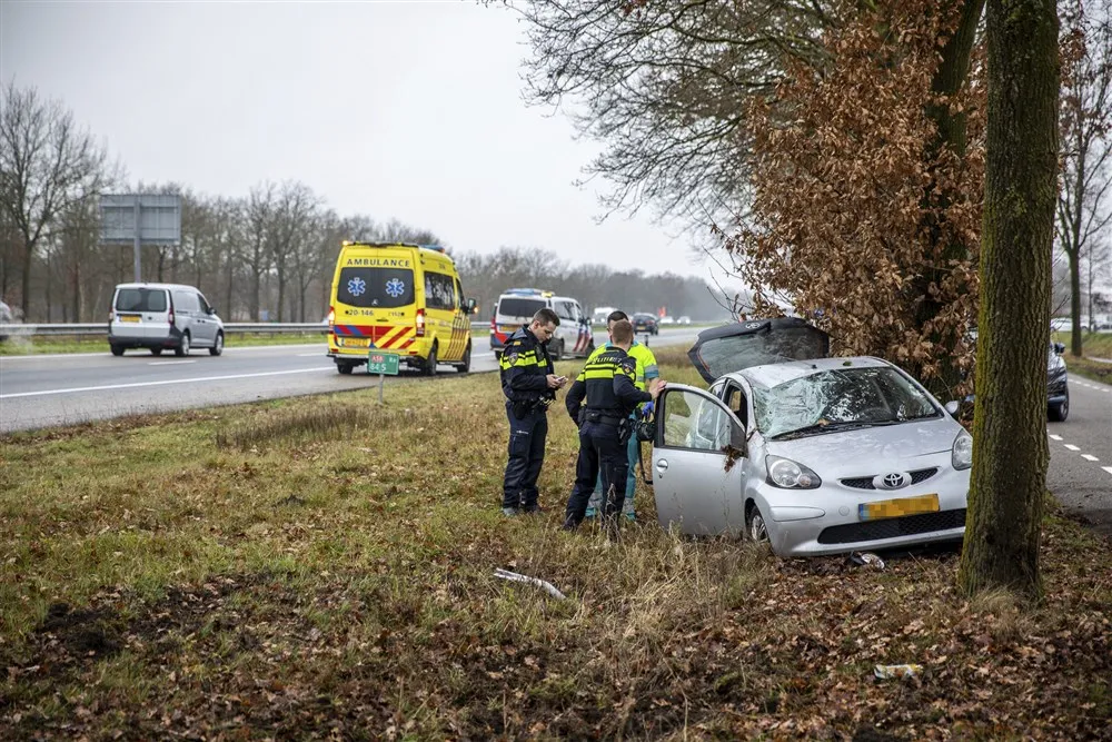 download scaled 1000x1000 70244