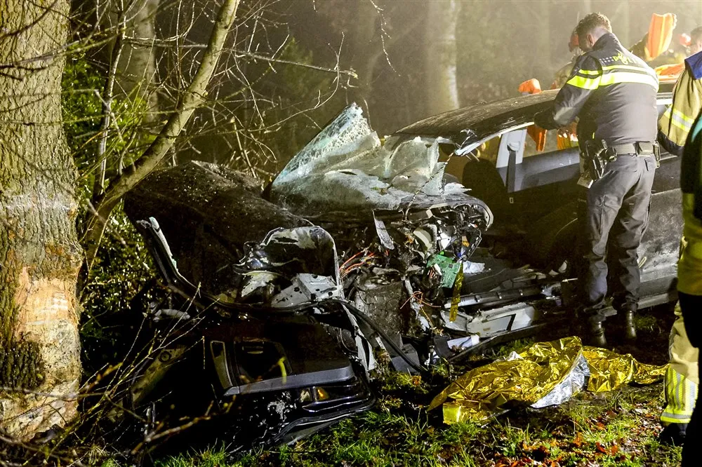 download scaled 1000x1000 72531