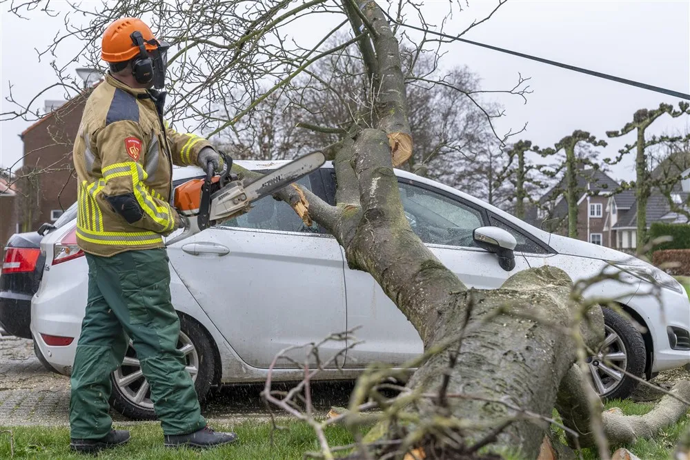 download scaled 1000x1000 74645