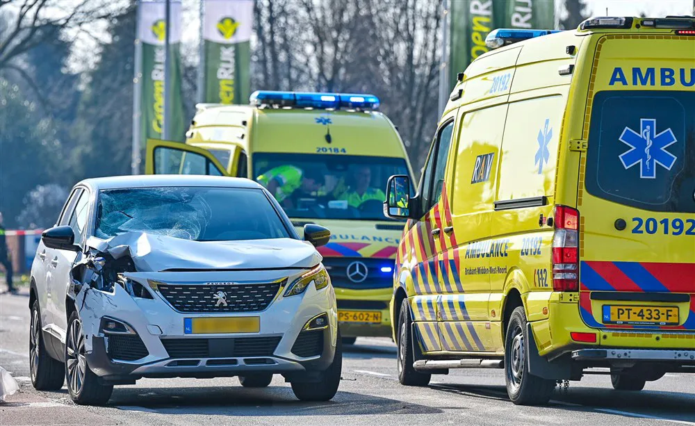 download scaled 1000x1000 83268