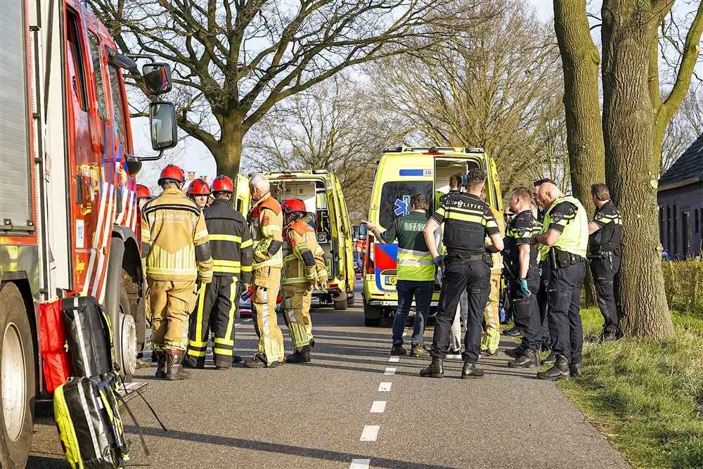 download scaled 1000x1000 83476