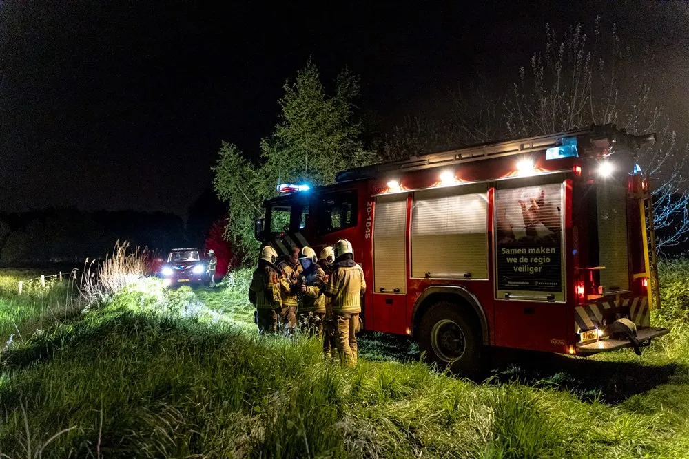 download scaled 1000x1000 87752