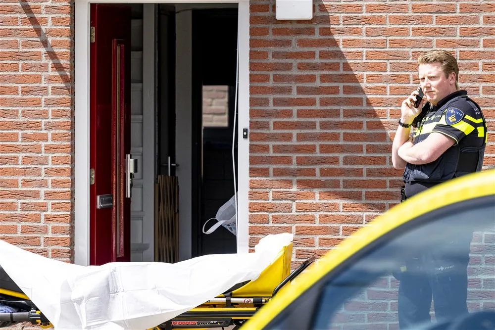 download scaled 1000x1000 90625