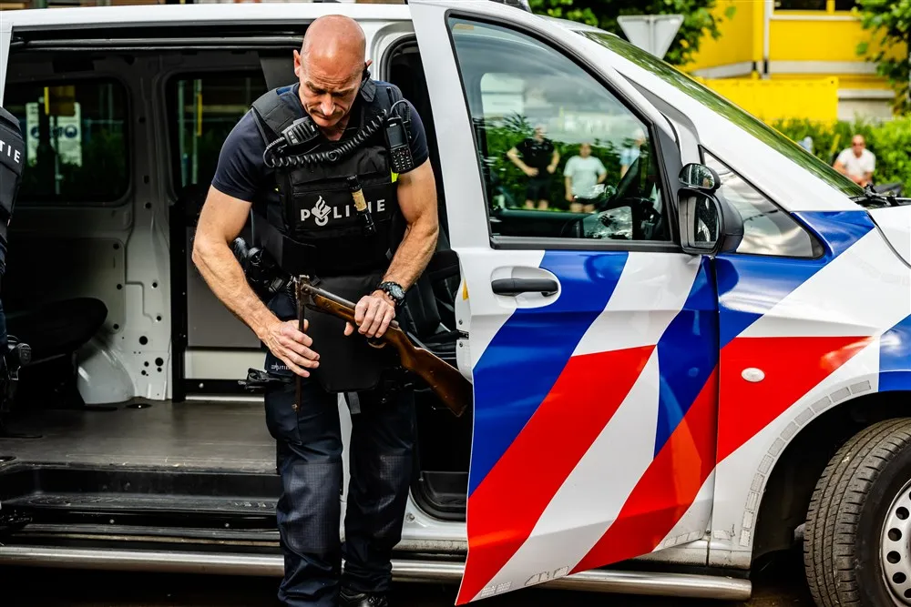 download scaled 1000x1000 93788