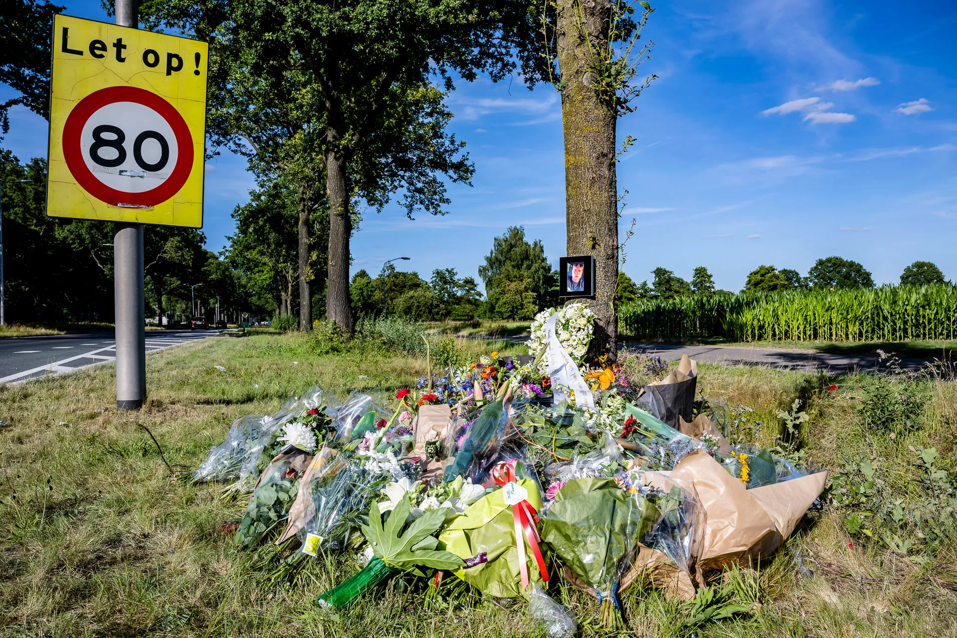 jack brekelmans 20220716182354 4