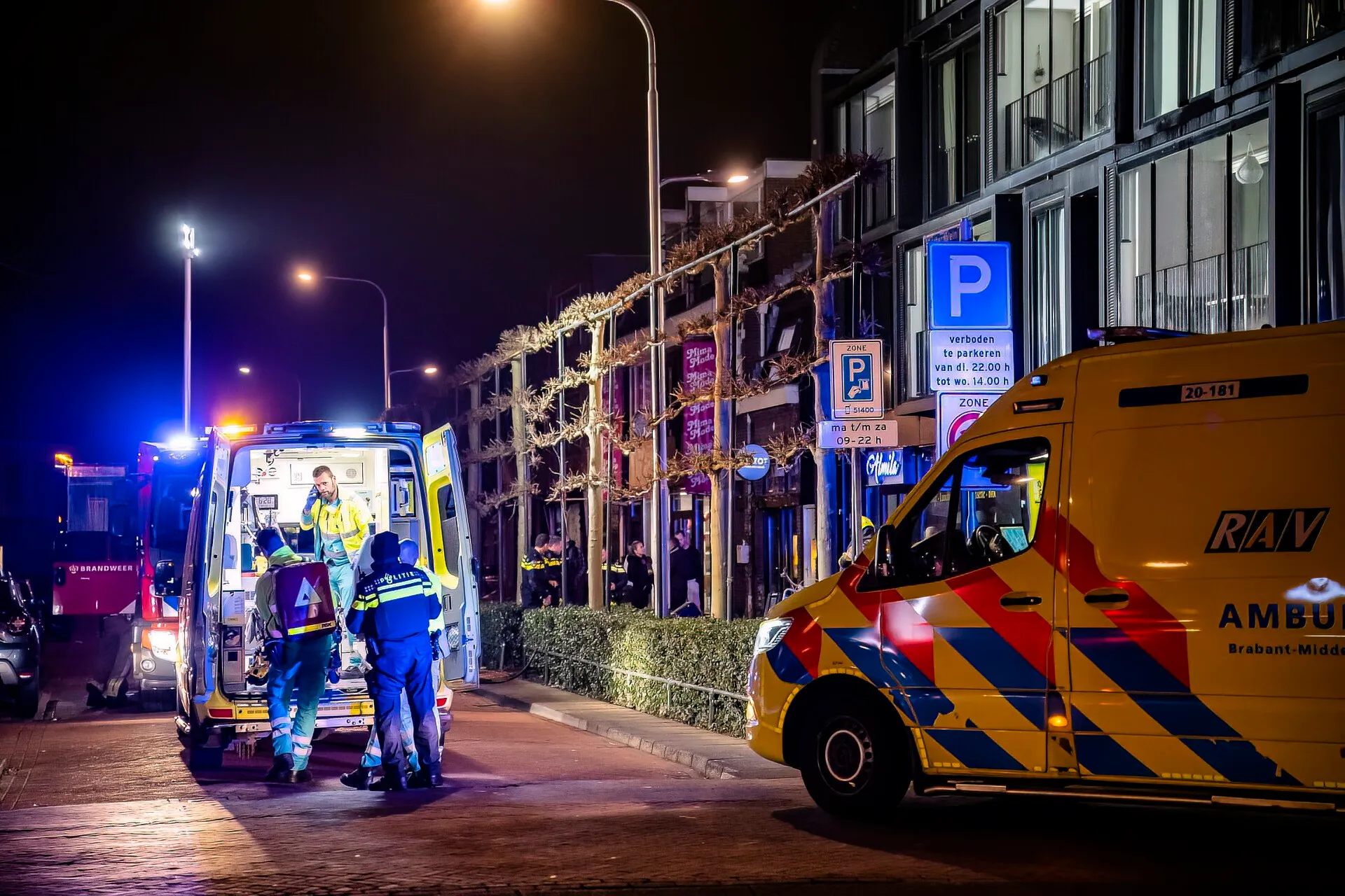 jack brekelmans 20230220064033 1