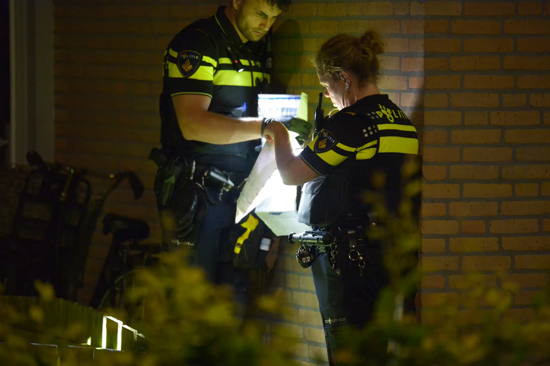 perry roovers 20220627223943 7