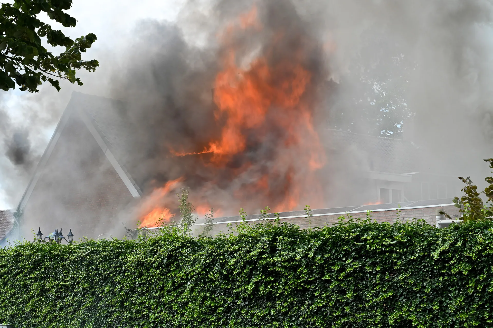 perry roovers 20230822145757 4