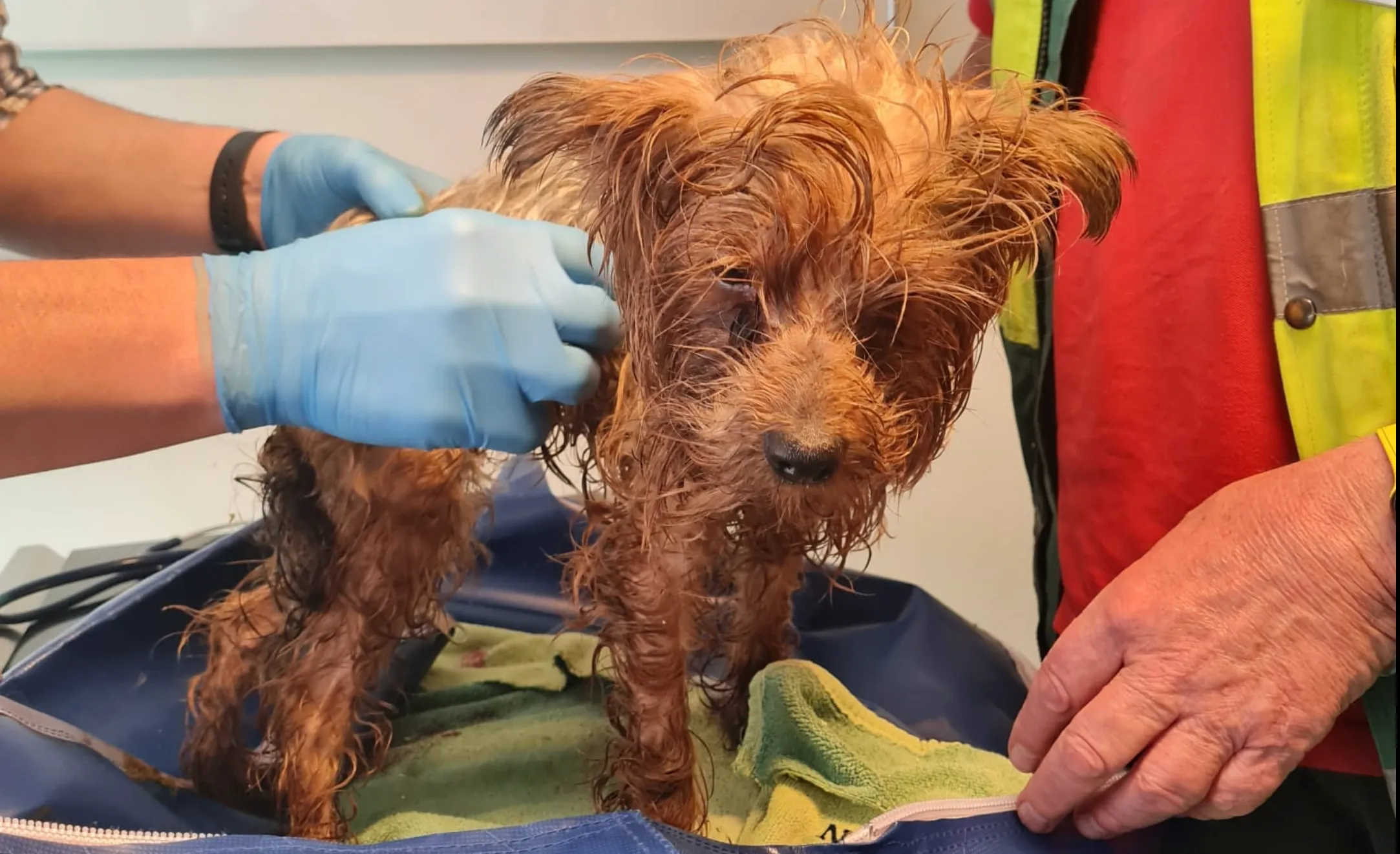 schermafbeelding 2023 04 07 om 125548