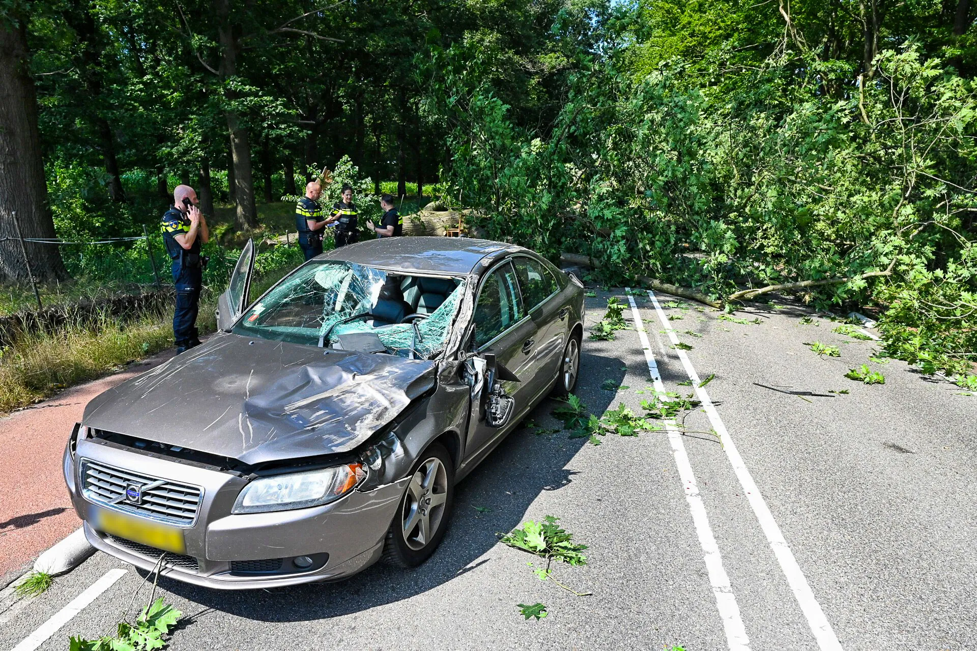 toby de kort 20220729155100 0 edit