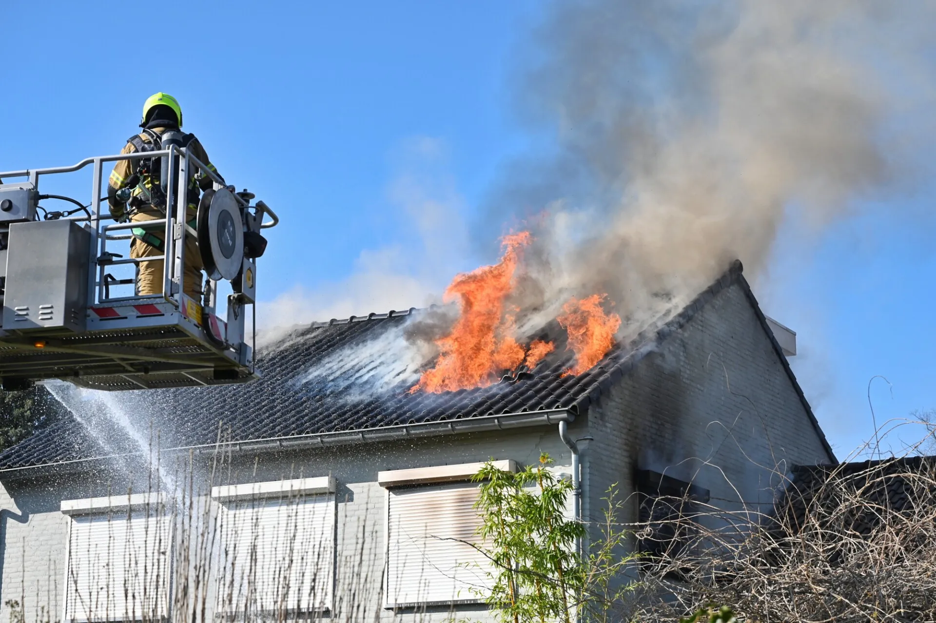 toby de kort 20230405083513 1