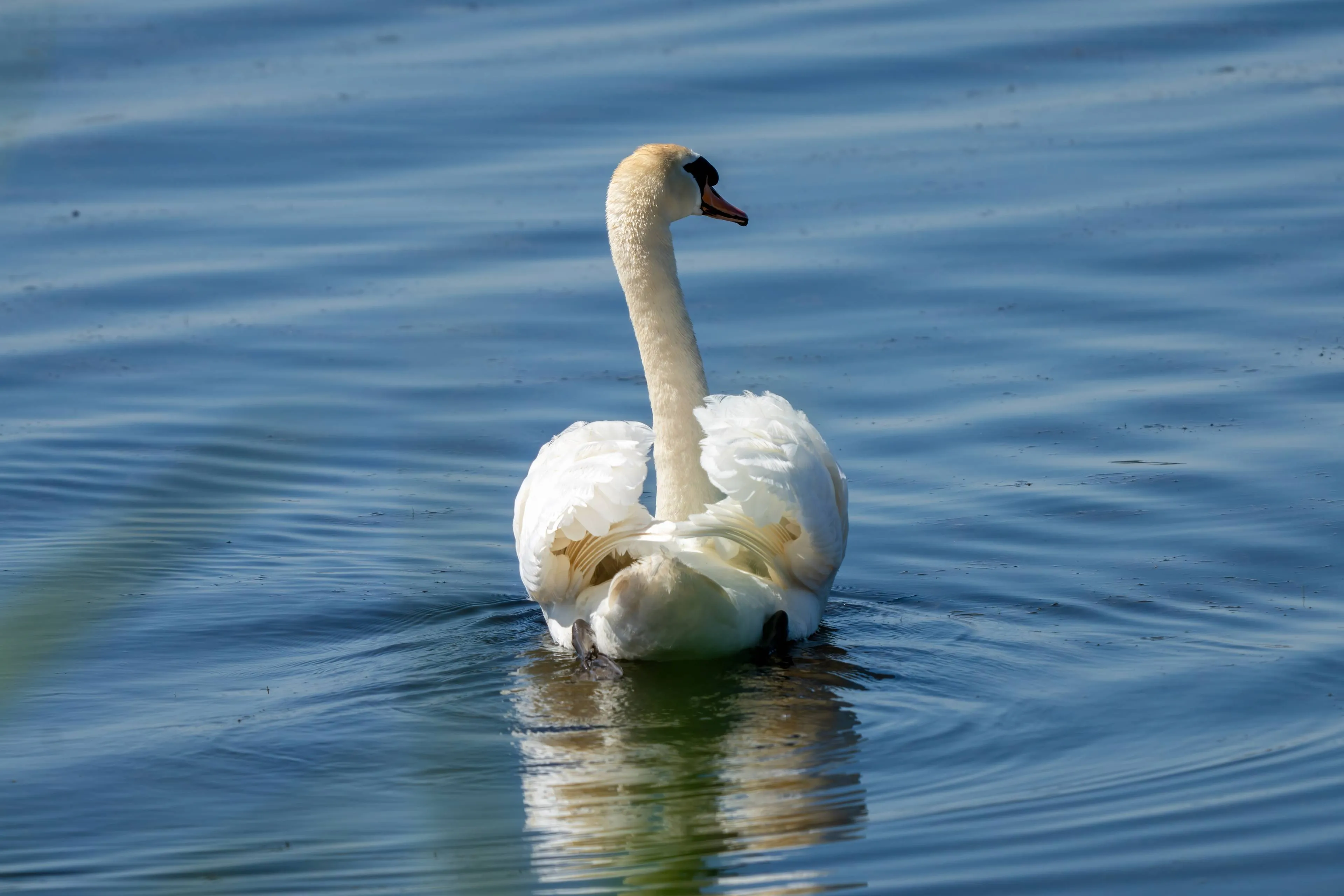 Vakantie_putten_67
