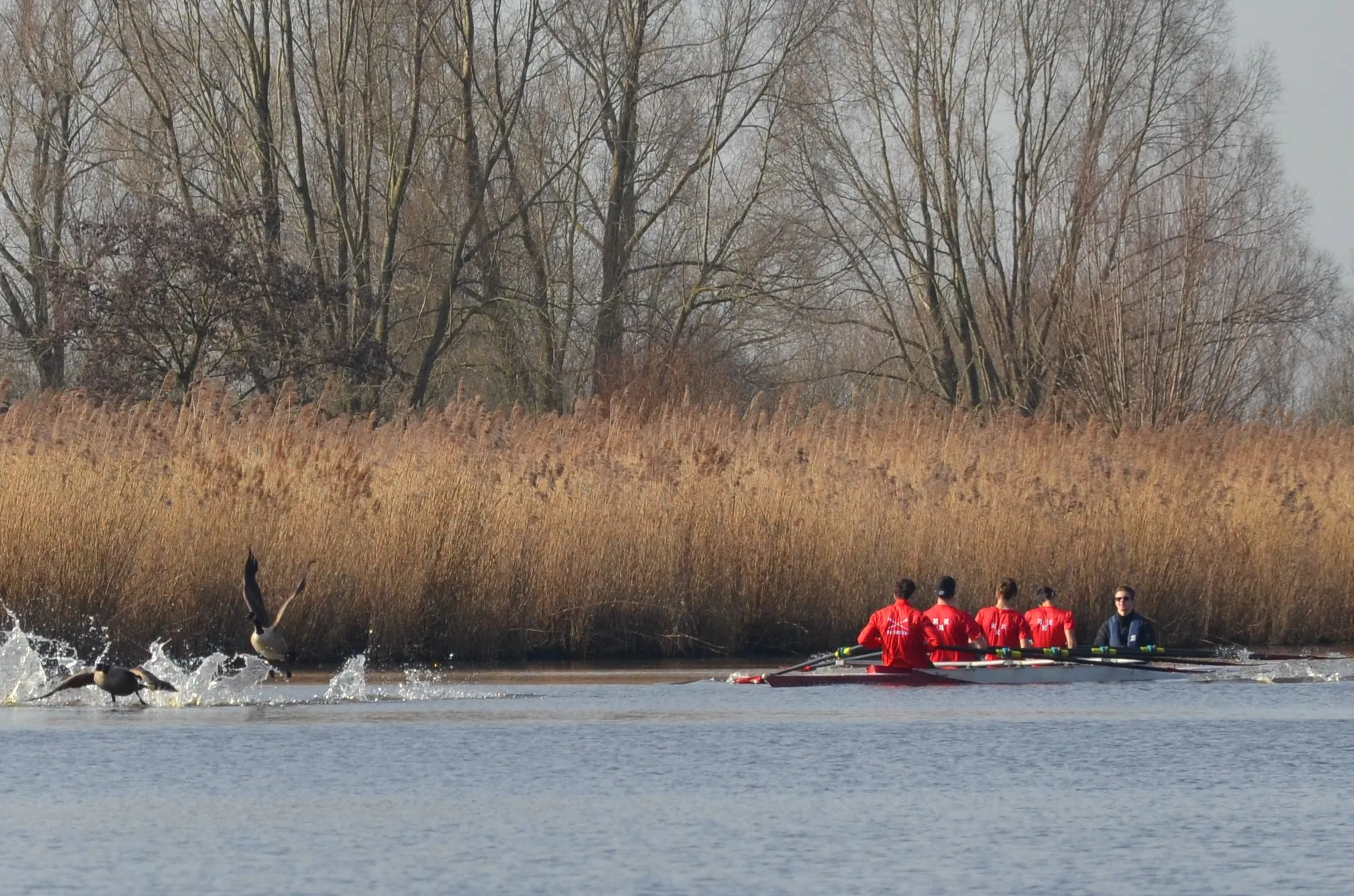 foto open dag rv breda 21 mrt 2020