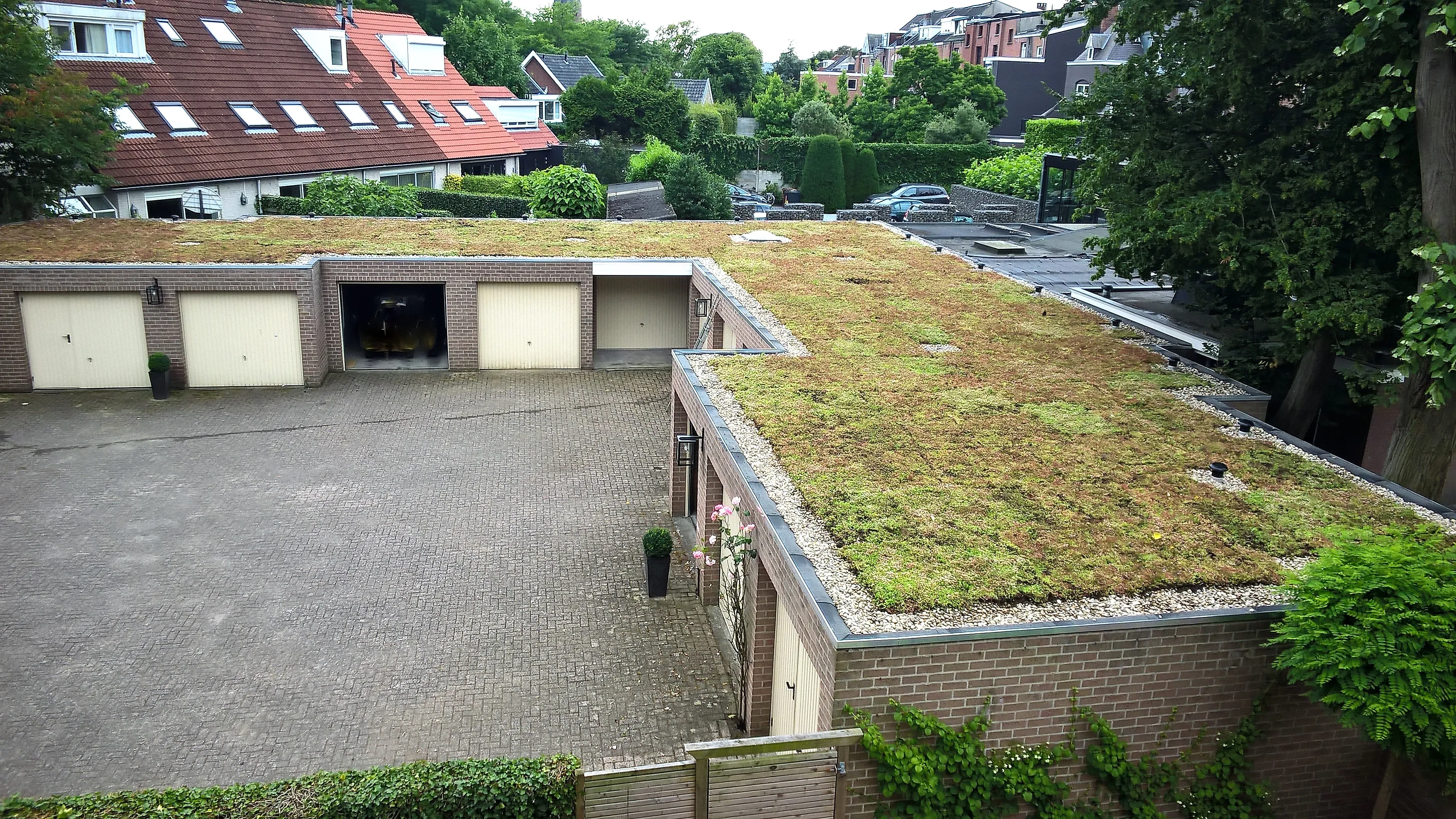 groen dak