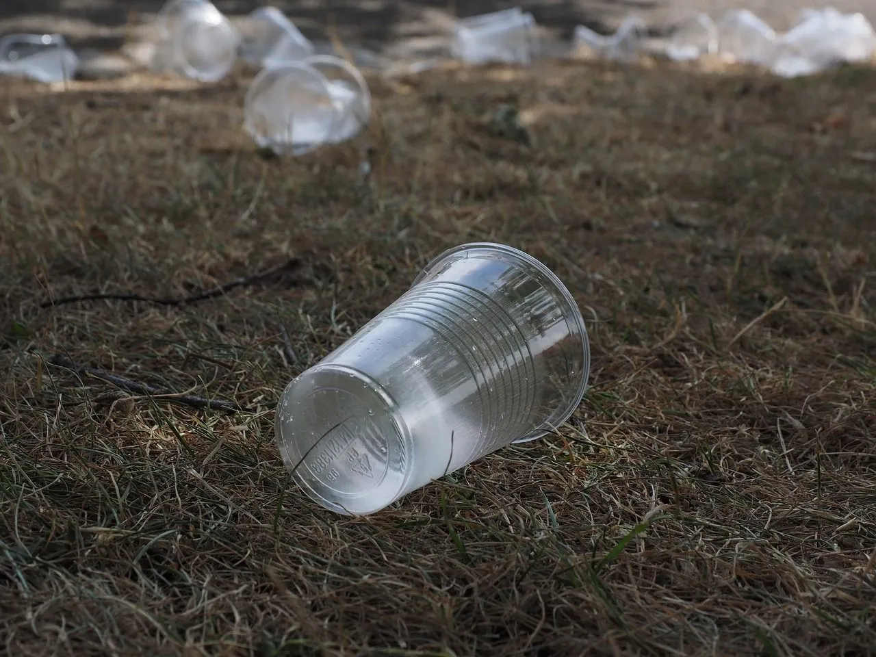 beverage cups 2147902 1280