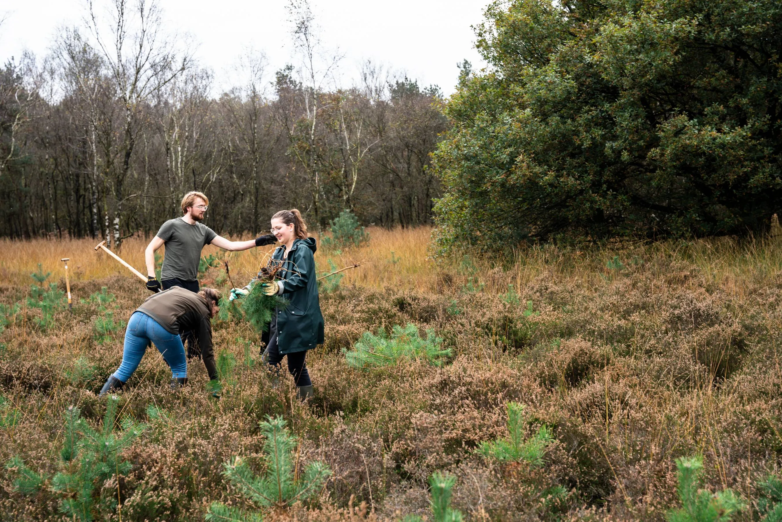 natureimpact