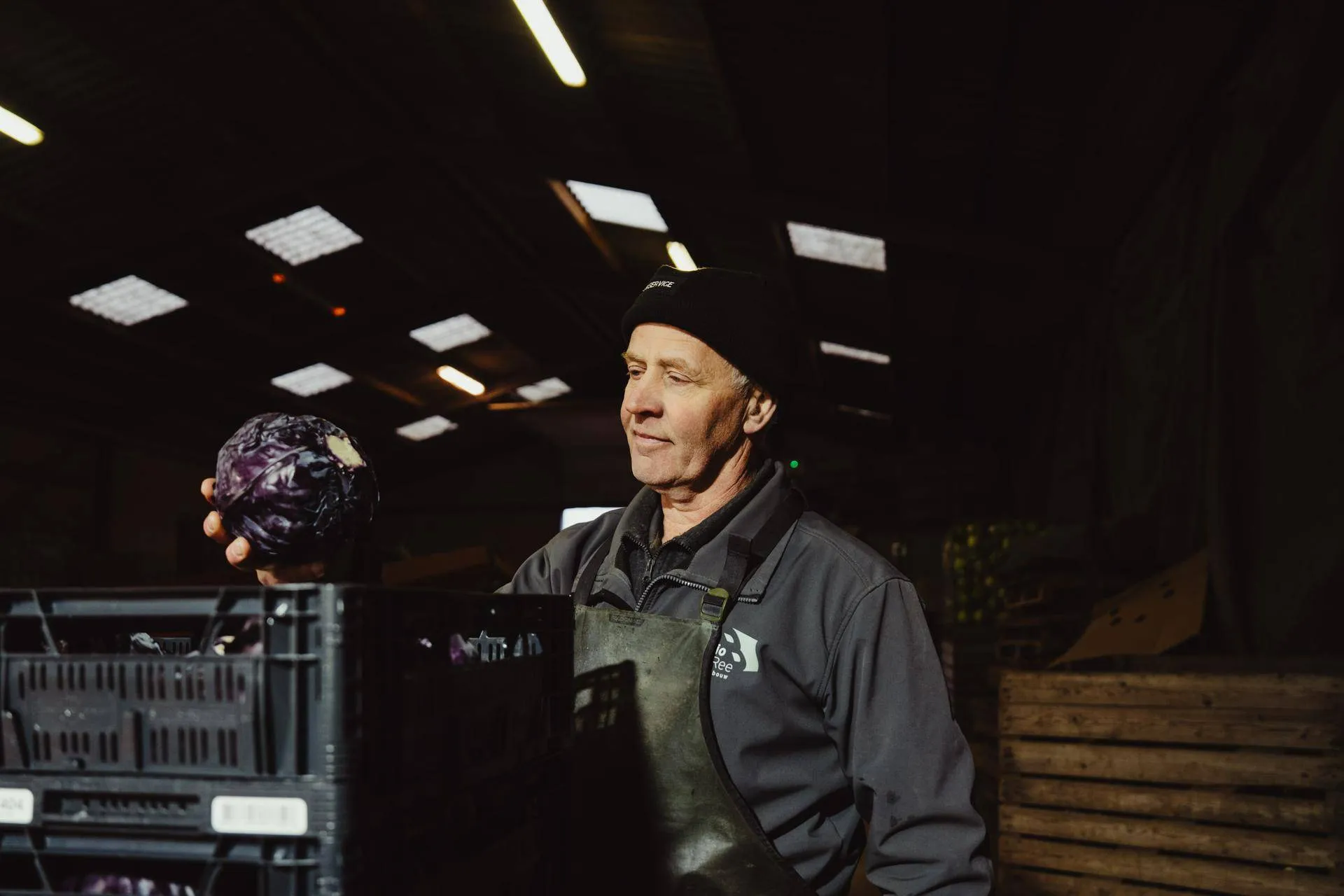 unnamed - 2026-01-06T083901.241