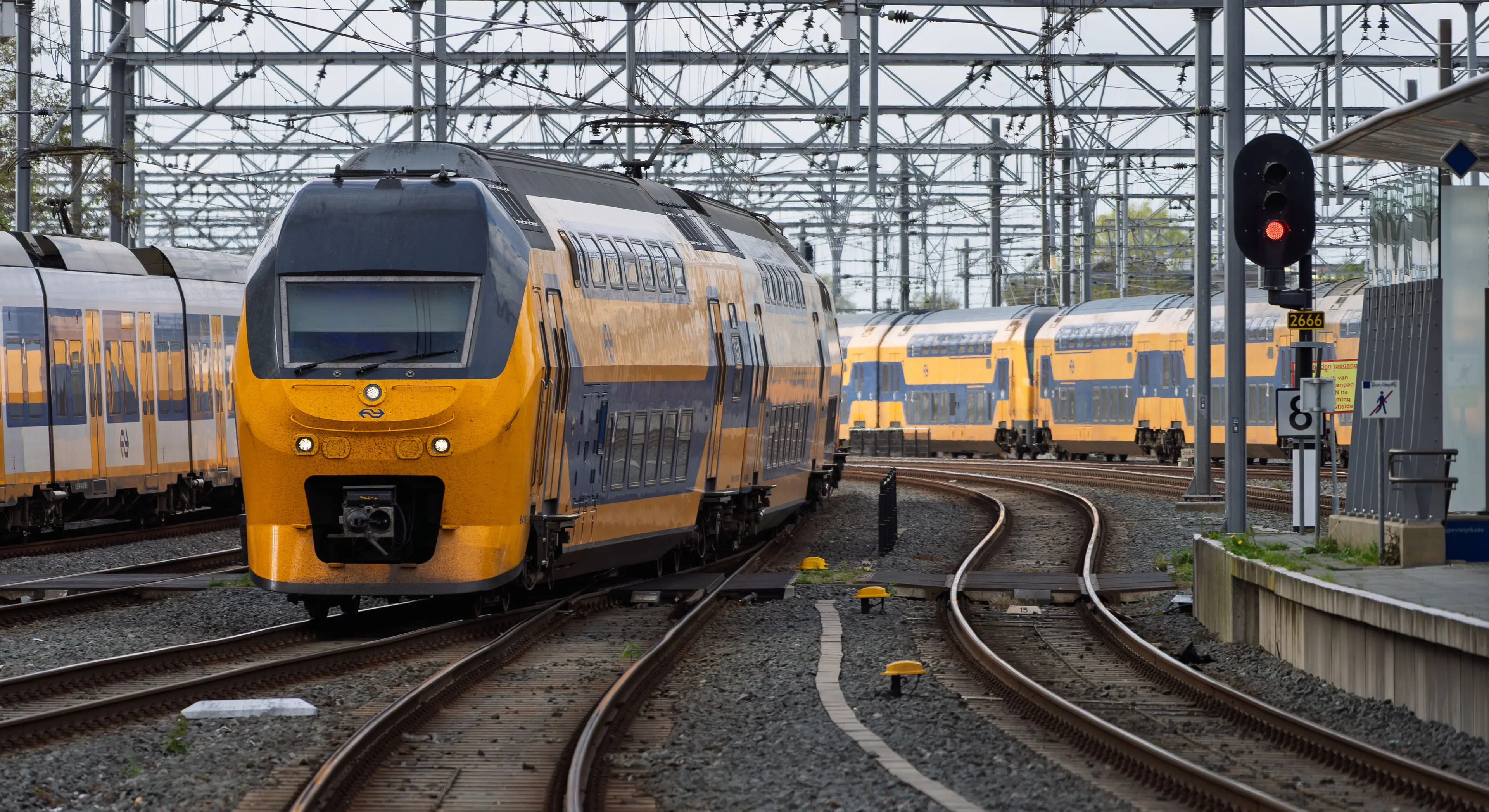pexels-martijn-stoof-2150654344-37164534