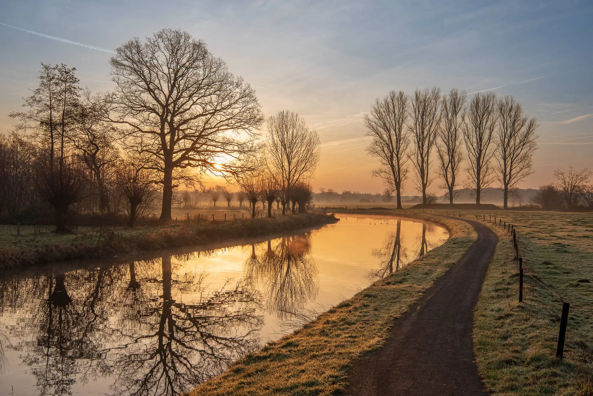 markdal Femke Nouws