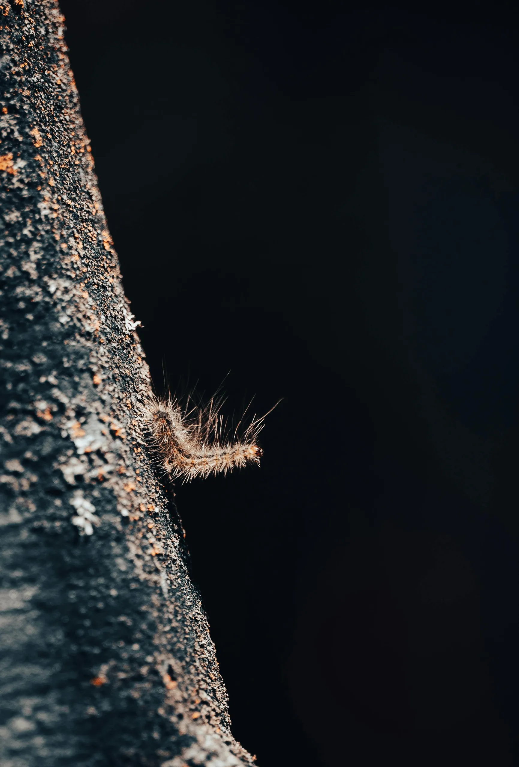 pexels chris f 38966 9773811