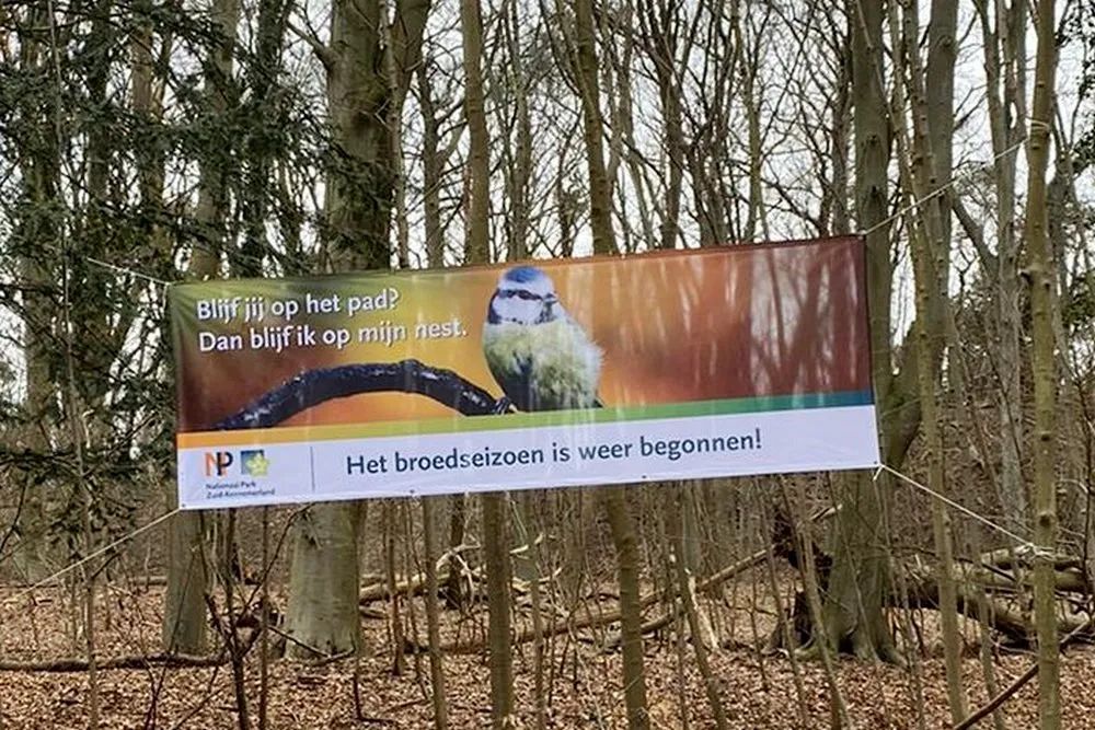 157500972 3801052469930130 670899883166595442 o