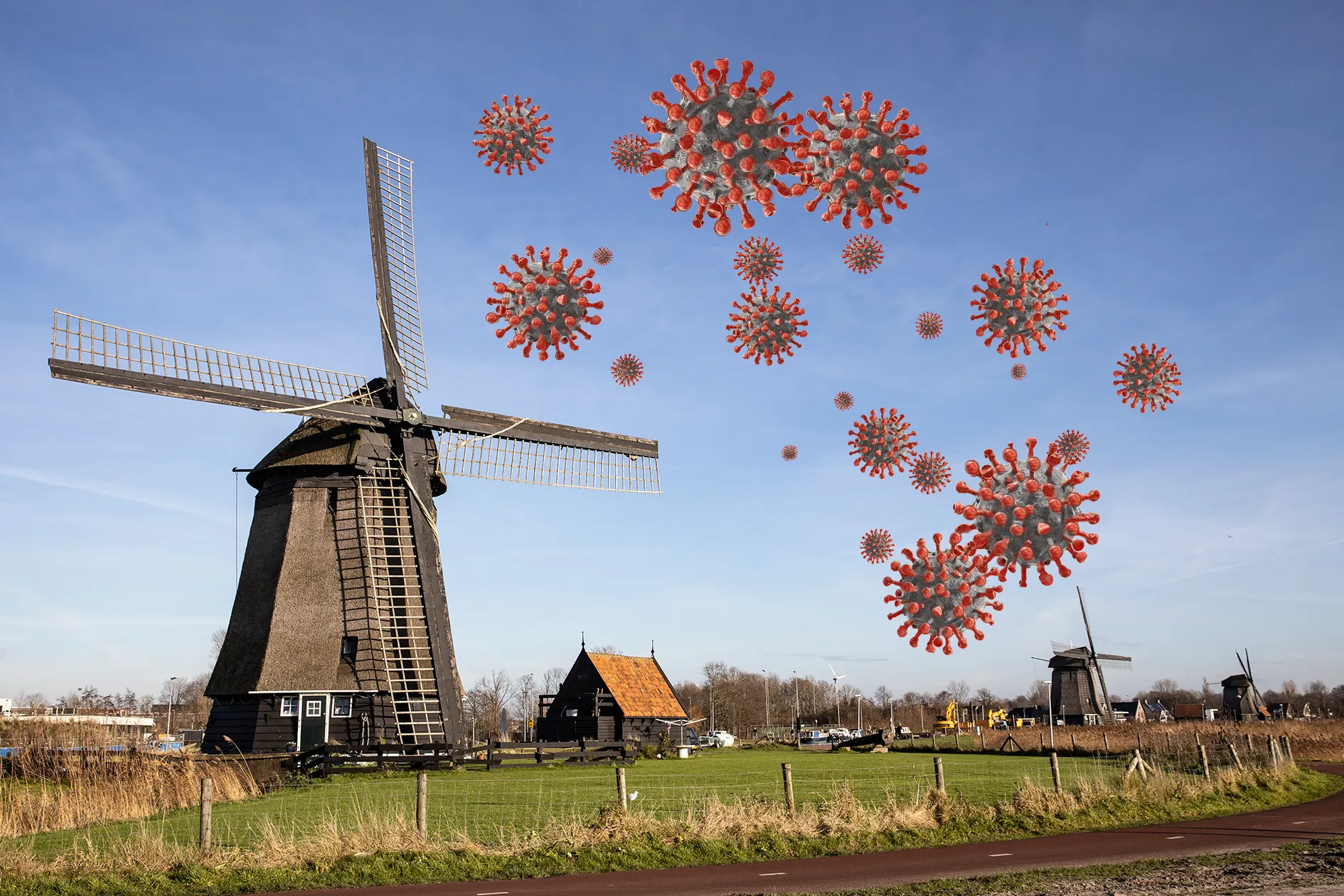 3z1a6484 corona alkmaasr wim meijer fotografie pixabay