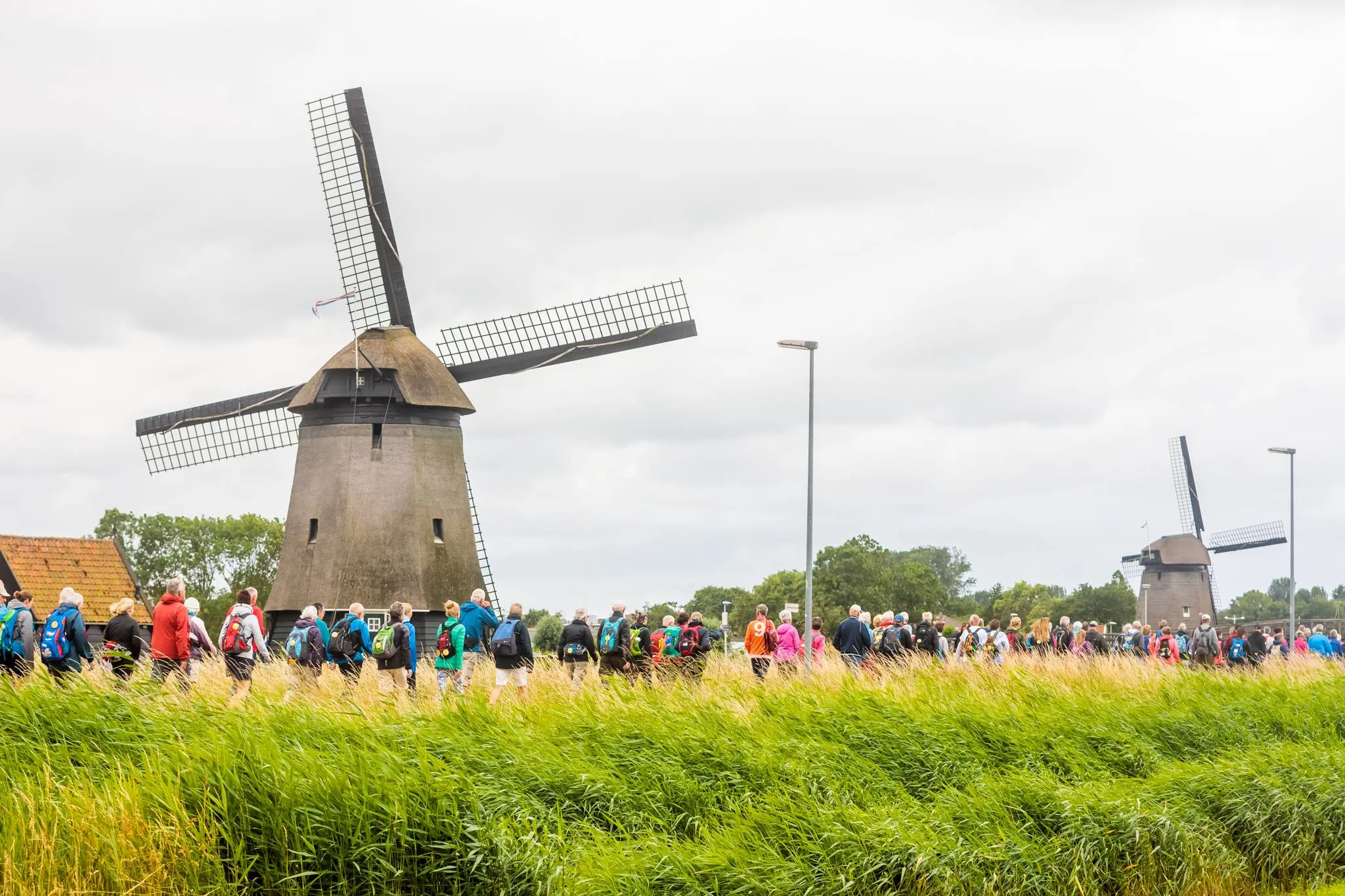 52452464 2120155504733669 4977264232979496960 o