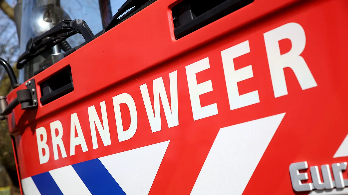 5i5a3805 wim meijer fotografie