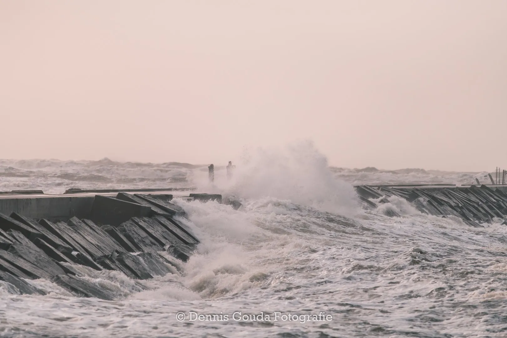 86173871 184788822866477 6744052652855787520 o