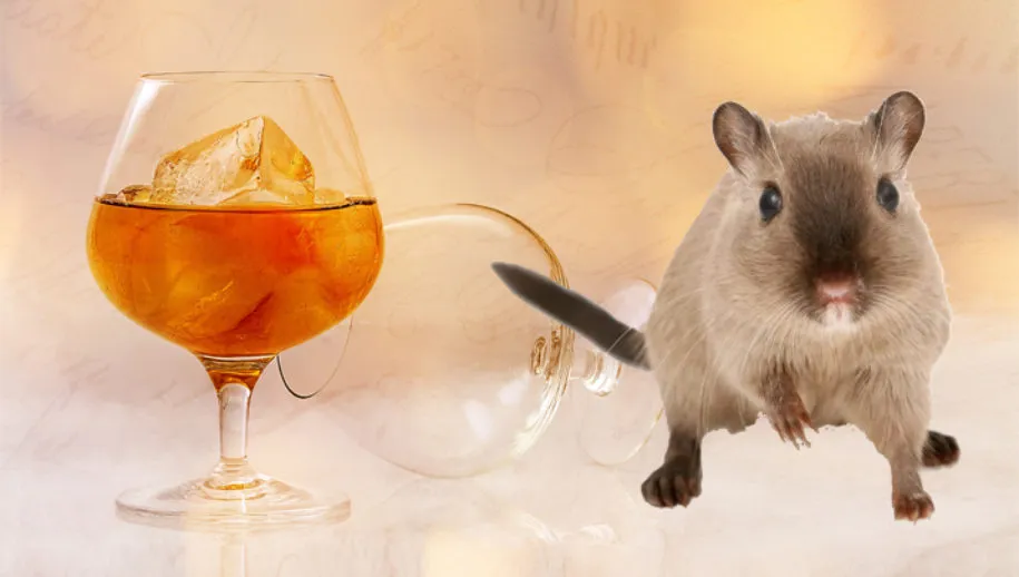 banner rattengif en brandewijn 915x518