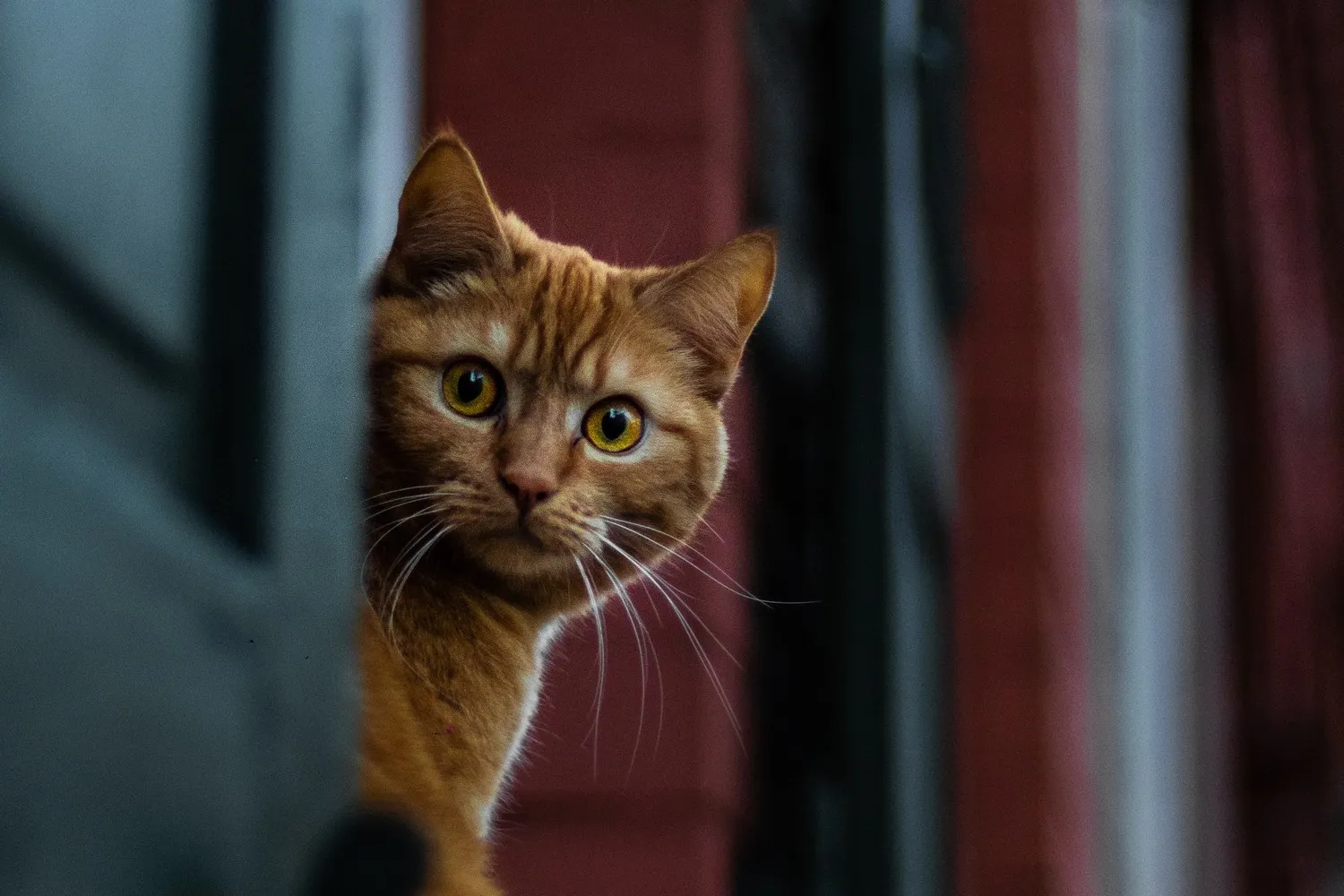 david peters lsxqoewub9e unsplash