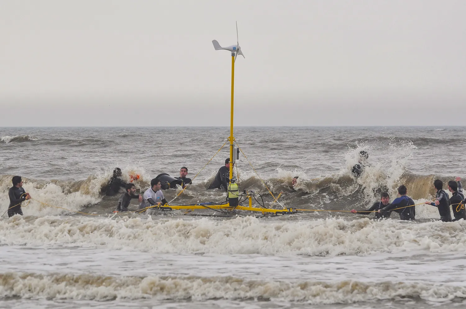 floatingwind kopieren