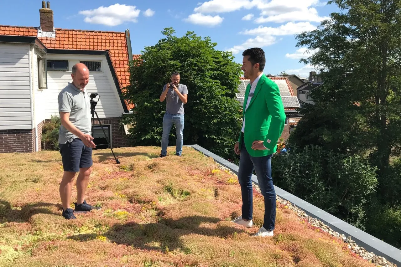 gluren bij duurzame buren sedum dak