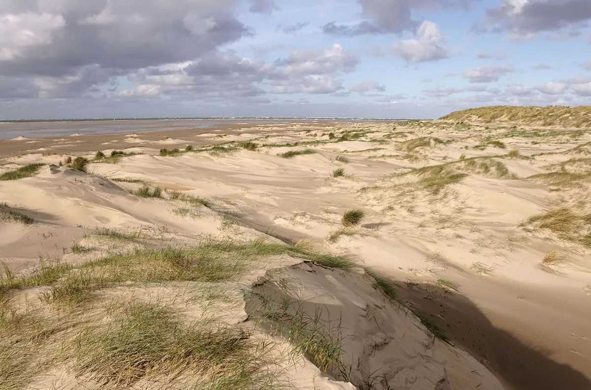 jong duin texel door sytske dijksen foto fitis