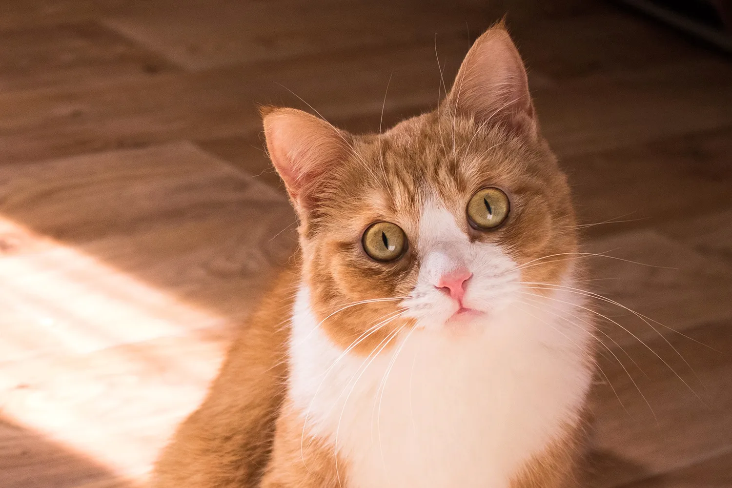 kristina yadykina 21nrdbmjf94 unsplash