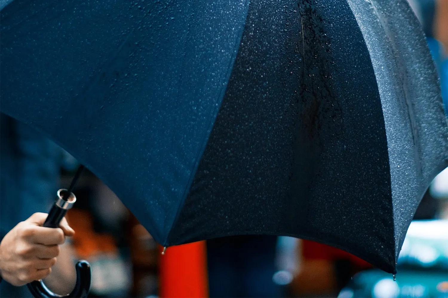 photo 1517398629 9d24ea1f4f94