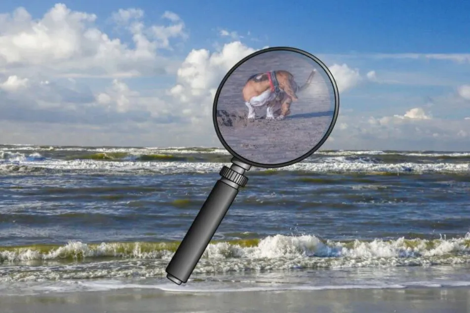 strand loep