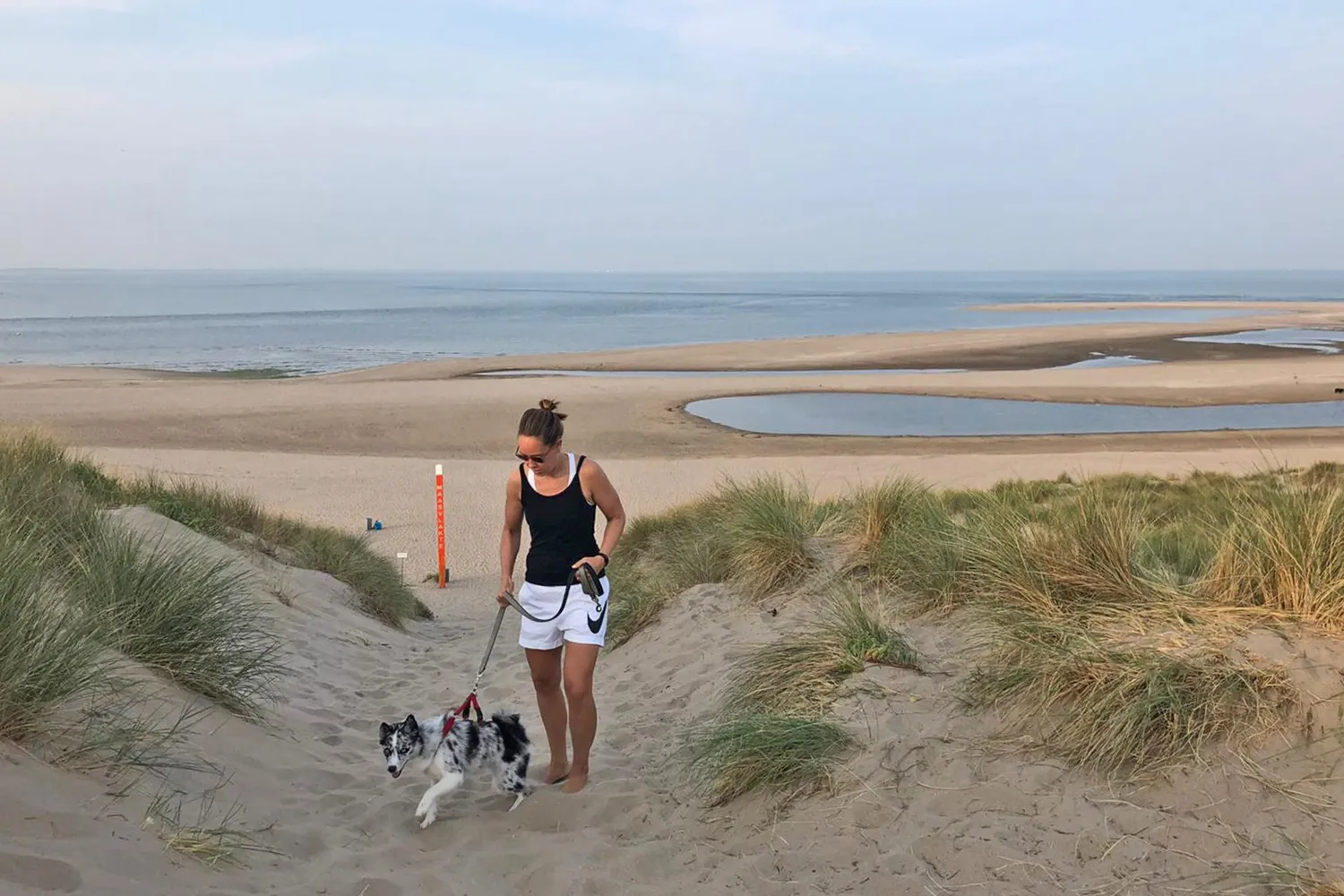 wandelaar met hond in de duinen door philo van lenning
