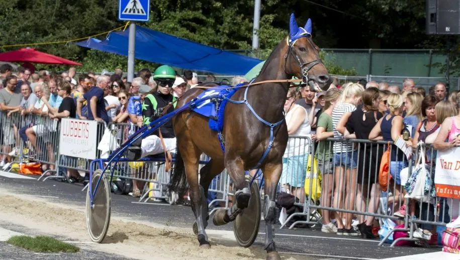 wim meijer fotografie img 1096 915x518