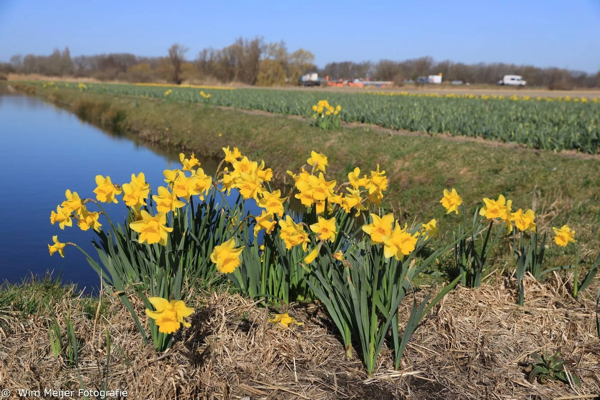 277079753 10222599165833895 9043768679608072491 n