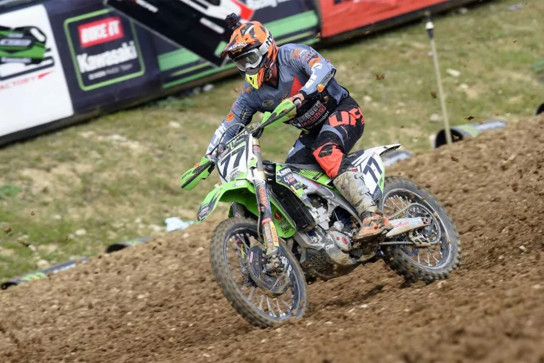 001 lupino francia e1563985513869