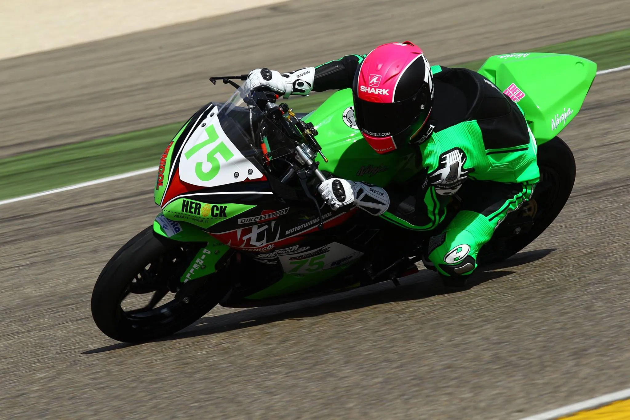 17622030 1434852043223929 4002968877031532574 o