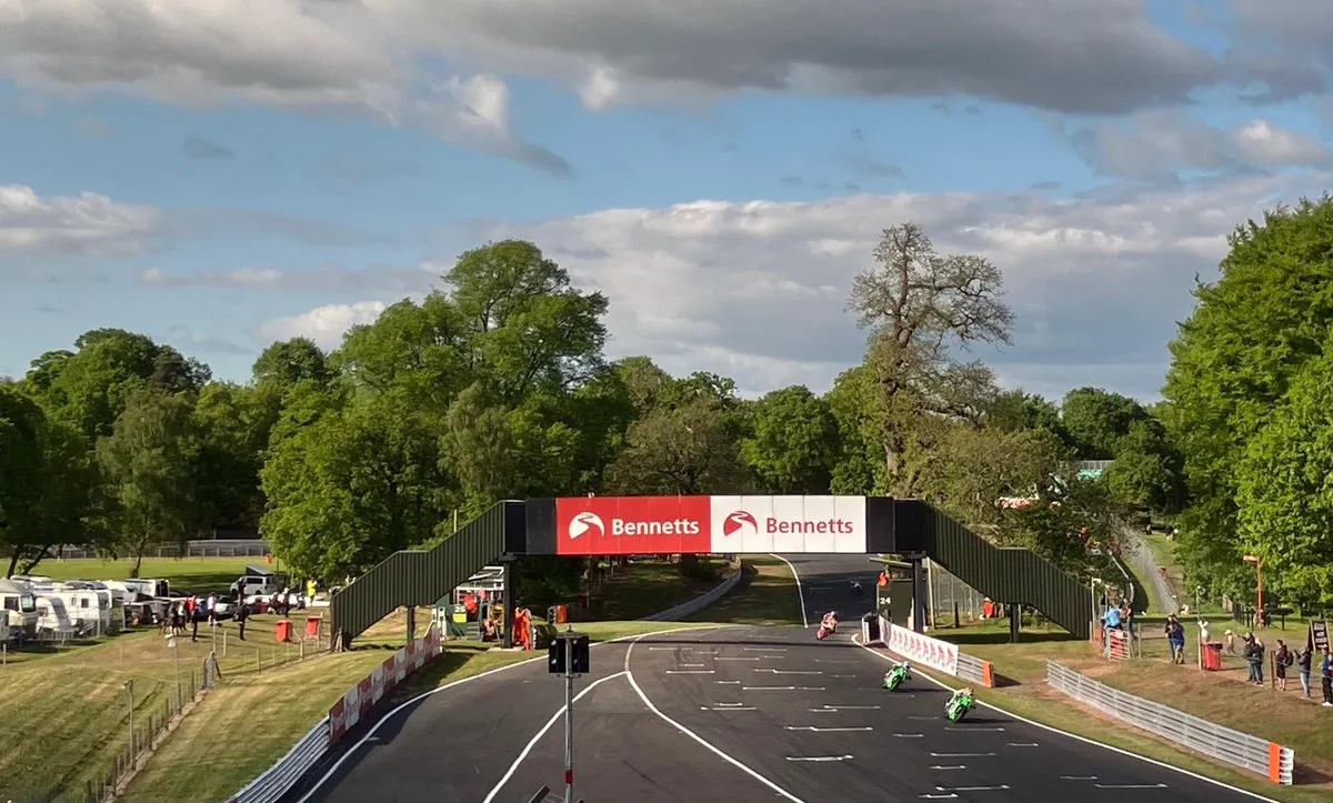 490705076 664116349586237 8277731495215284448 n result