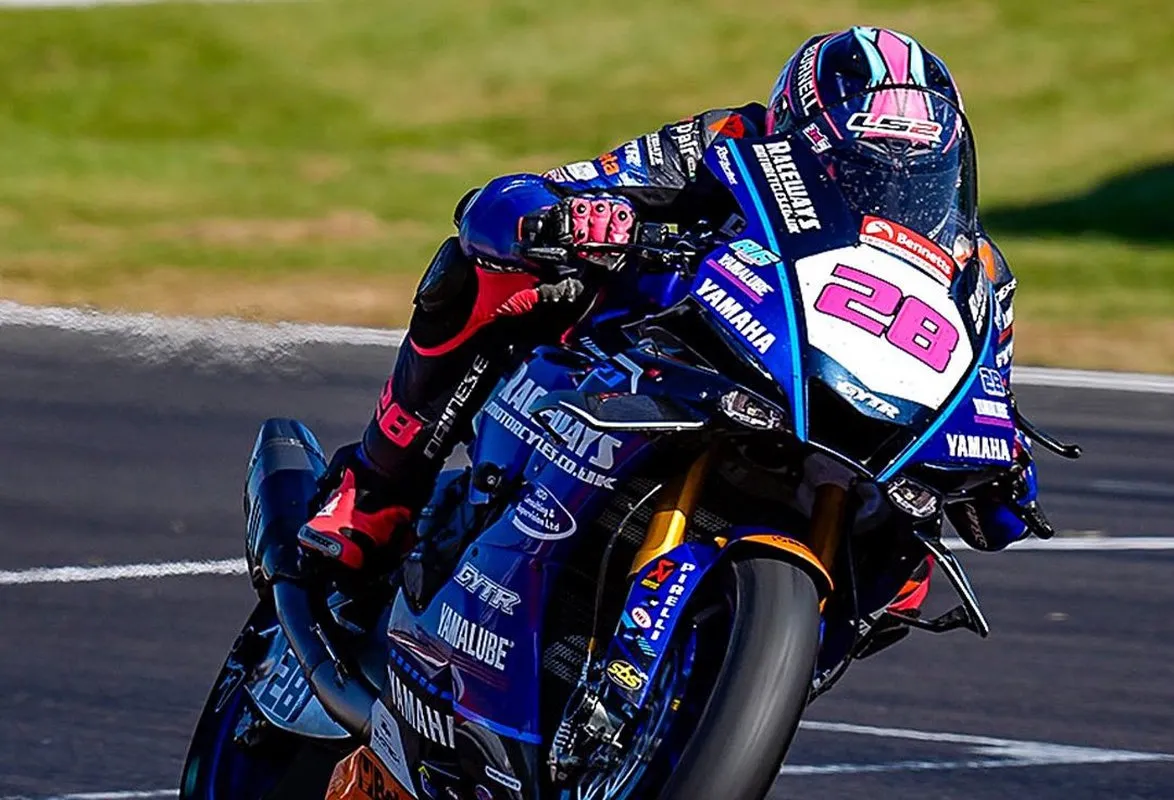 498526913 1366045914562341 8936799643342113830 n result