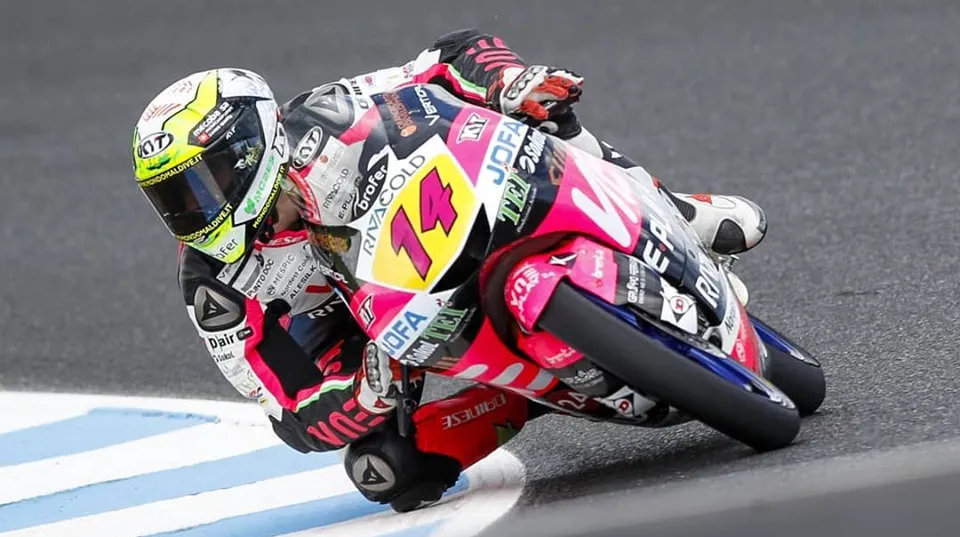 72997755 2431614083794470 6485320880892149760 n