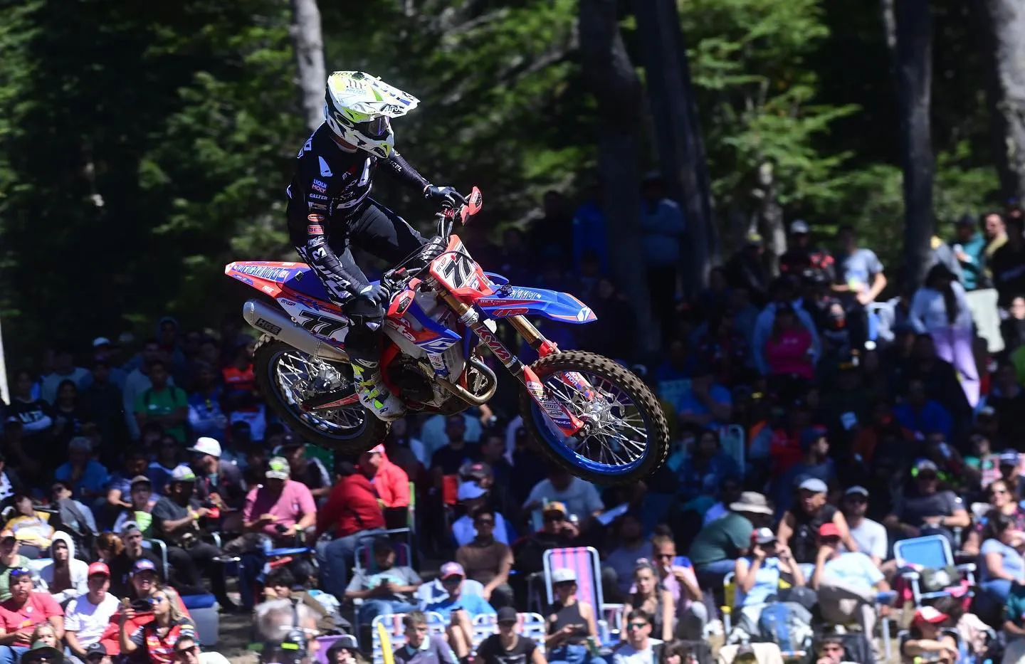 alessandro lupino argentina mxgp