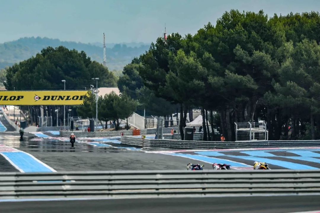 bol dor 2019 mistral